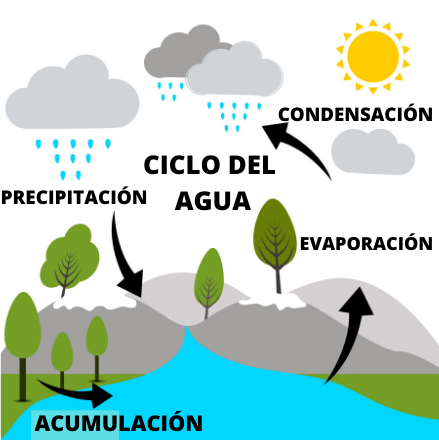 Lluvia de ideas - Grado 2 - Quizizz