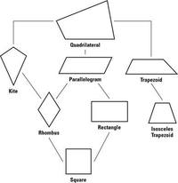 Classifying Quadrilaterals - Grade 11 - Quizizz