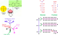 macromolecules - Class 8 - Quizizz