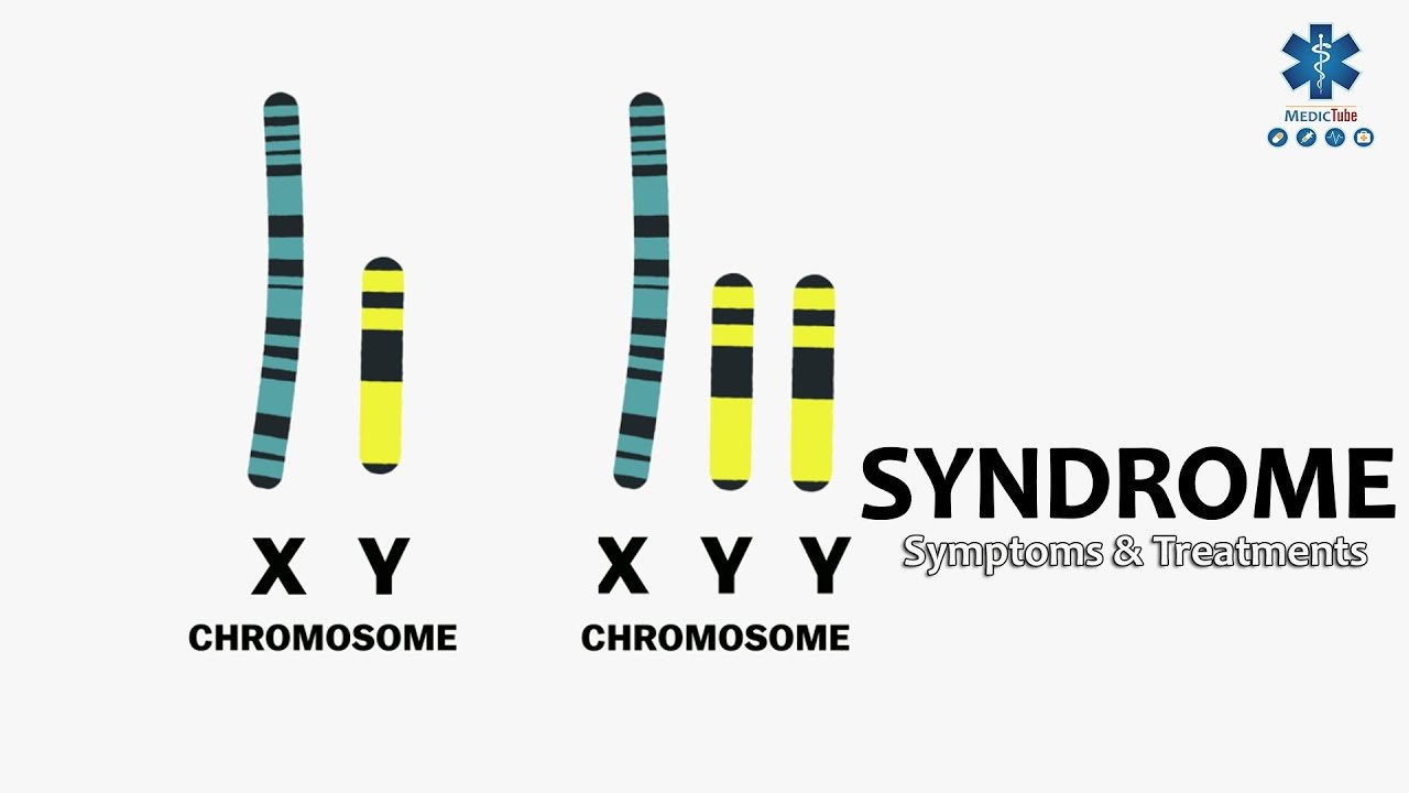 Xyy Syndrome Genetics Quiz Quizizz