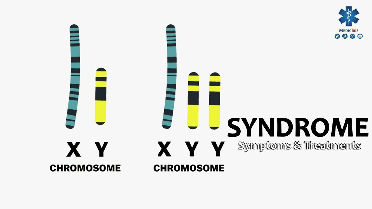 xyy-syndrome-genetics-quiz-quizizz