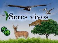 Plantas, animais e a terra - Série 3 - Questionário