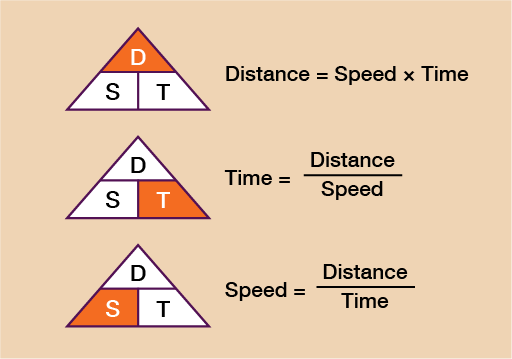 Speed And Velocity 