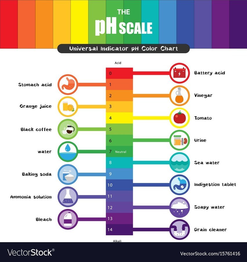 Universal Scale Chart