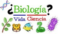 biologia humana - Série 3 - Questionário