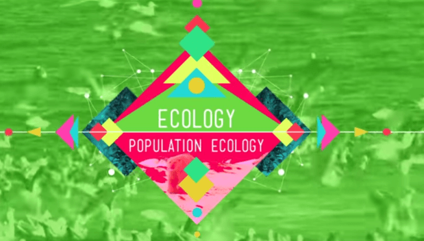 population-ecology-crash-course-ecology-2-quiz-quizizz