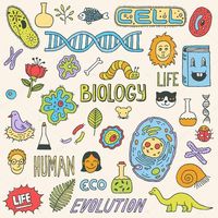 biología del comportamiento - Grado 10 - Quizizz