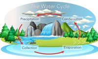 movements of ocean water - Grade 1 - Quizizz