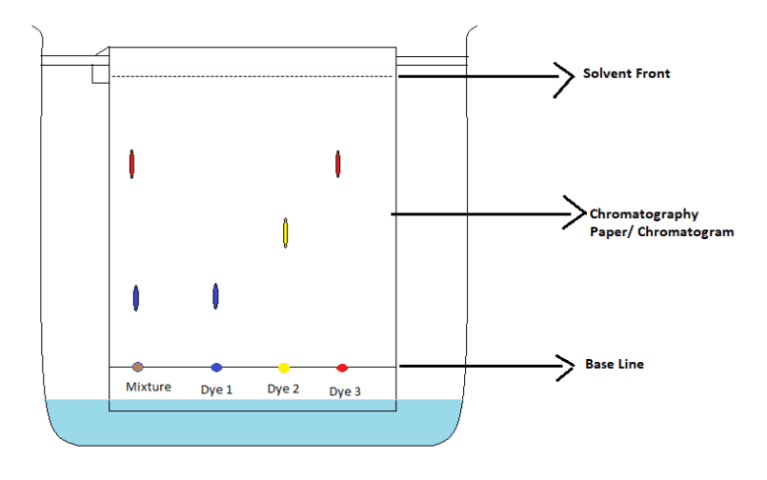 Chromatography