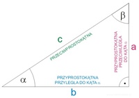 Funkcje Operacje - Klasa 5 - Quiz