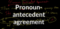 Pronoun-Antecedent Agreement - Class 3 - Quizizz