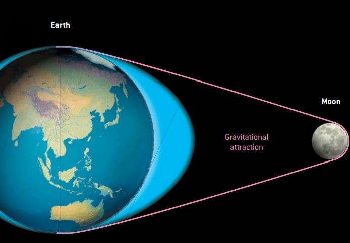 Phases of the Moon & Tides | Science - Quizizz