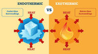 endothermic and exothermic processes - Class 11 - Quizizz