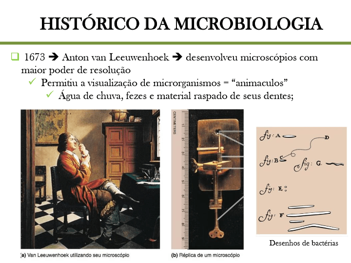 REVISÃO MICROBIOLOGIA ENGENHARIA FLORESTAL - Quizizz