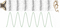 oscillations and mechanical waves - Grade 8 - Quizizz