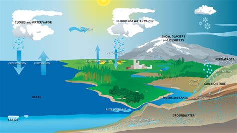 Science Mcgraw-hill water cycle g6 | Science - Quizizz