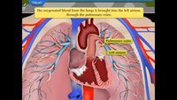 Drawing Hearts - Class 10 - Quizizz