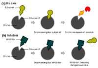 enzim - Kelas 10 - Kuis