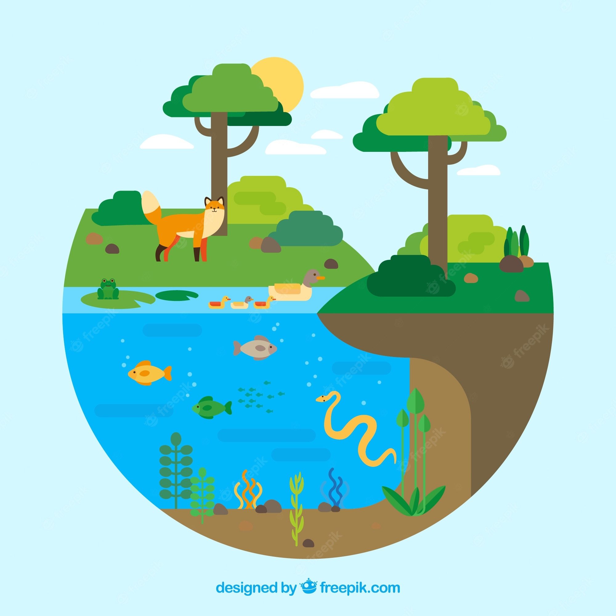 ecosystems Flashcards - Quizizz