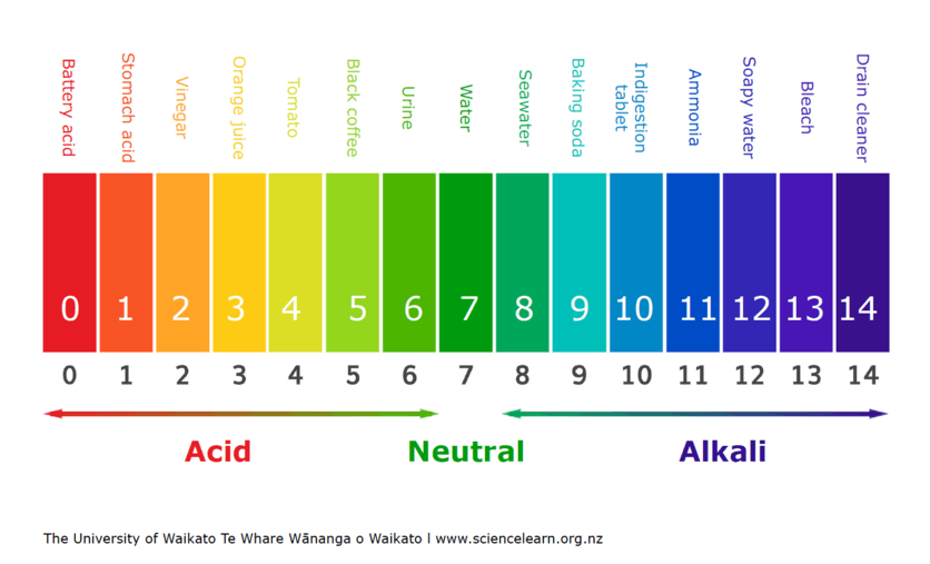 acid base reactions - Grade 8 - Quizizz