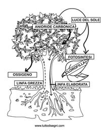 Pisanie figuratywne - Klasa 3 - Quiz