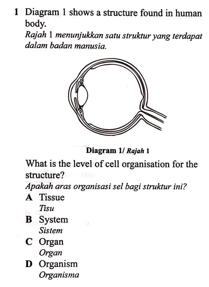 Aras organisasi sel
