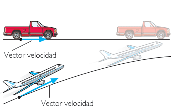 vectores - Grado 10 - Quizizz