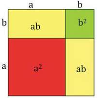 Multiplicación y productos parciales - Grado 7 - Quizizz