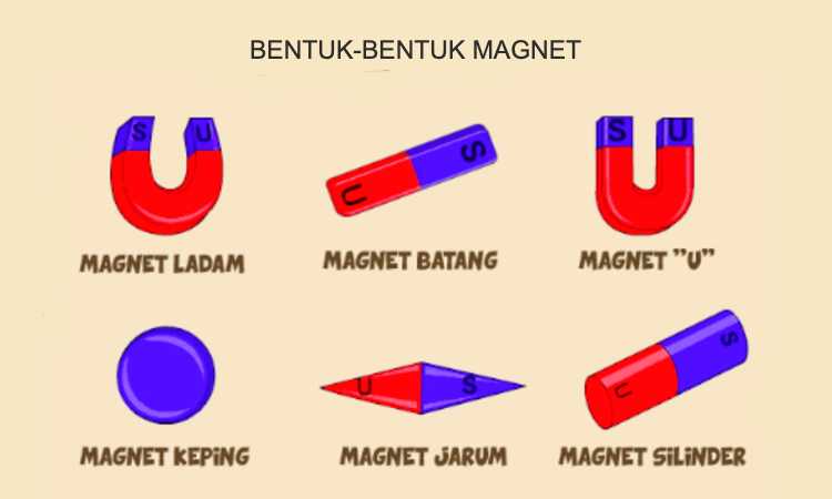 Magnet Education Quizizz
