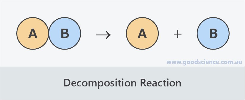 decomposition-products-quizizz