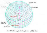 vĩ độ và kinh độ - Lớp 1 - Quizizz