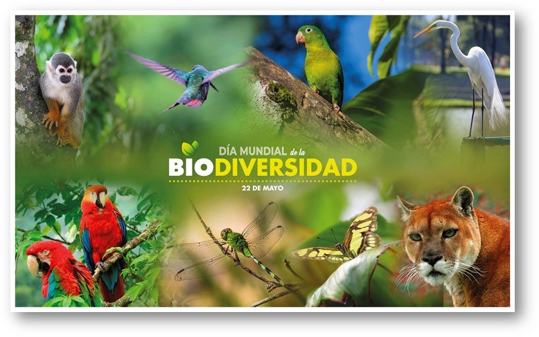 biodiversidade e conservação - Série 7 - Questionário