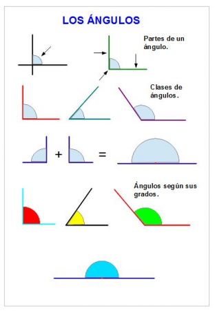 Los angulos de la mano | Mathematics Quiz - Quizizz