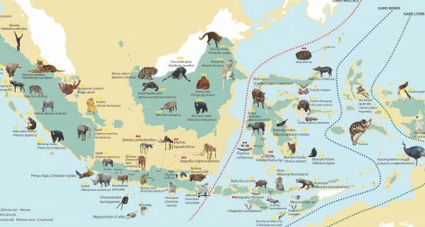 Aesmen Sumatif I Geografi Kelas Xi Keanekaragaman Hayati