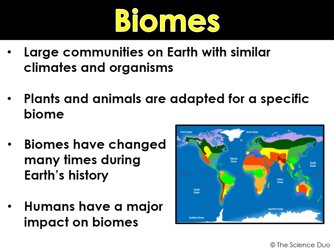 Biomes Questions & Answers For Quizzes And Tests - Quizizz