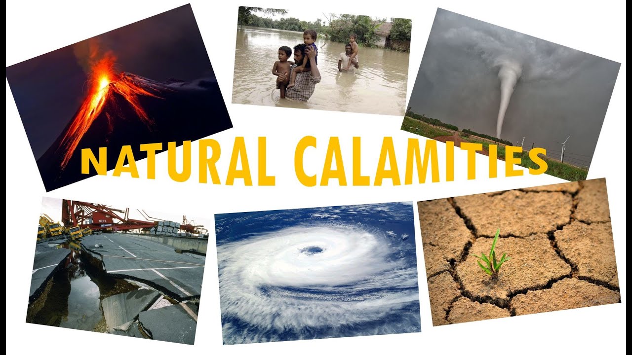 Natural Calamities | 96 plays | Quizizz