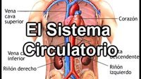 o sistema reprodutivo - Série 9 - Questionário