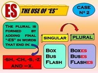 Irregular Plural Forms - Year 12 - Quizizz