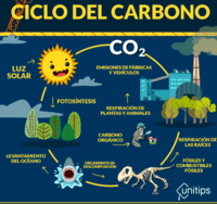 propiedades del carbono - Grado 12 - Quizizz