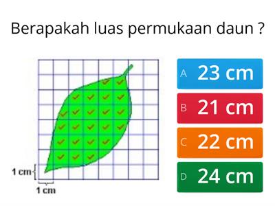 Luas Segi Empat - Kelas 6 - Kuis