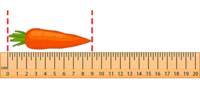 Converting Metric Units - Grade 2 - Quizizz