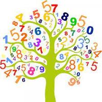 Divisão com números de vários dígitos - Série 1 - Questionário