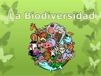 biodiversidade e conservação - Série 6 - Questionário