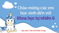 chất rắn chất lỏng và chất khí - Lớp 3 - Quizizz