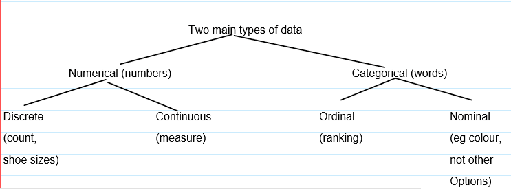 Organizing Data - Year 7 - Quizizz