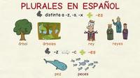 Posesivos plurales - Grado 5 - Quizizz