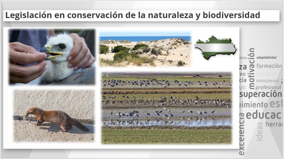 biodiversidad y conservación - Grado 1 - Quizizz