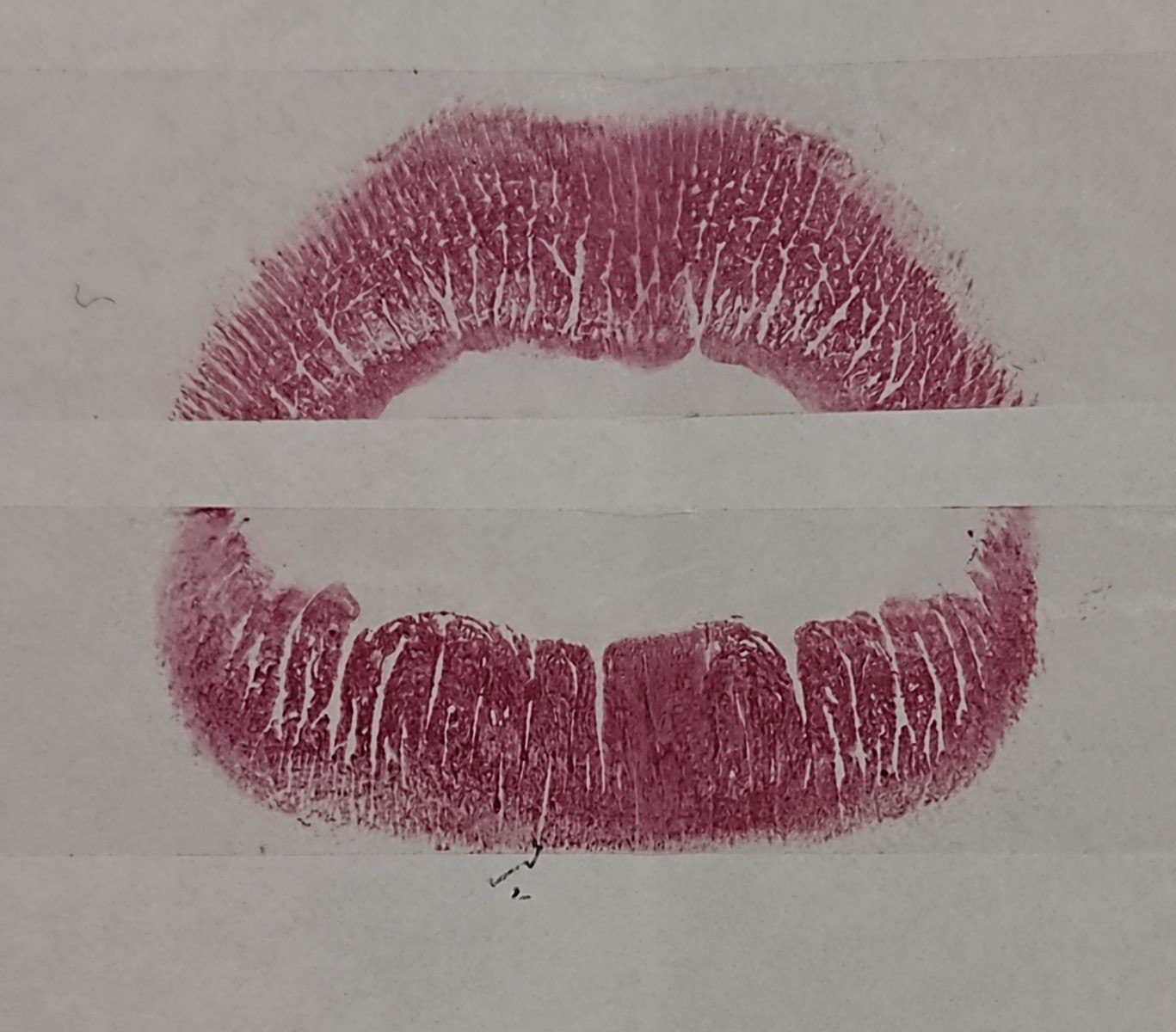 Lip Print Quiz Quizizz