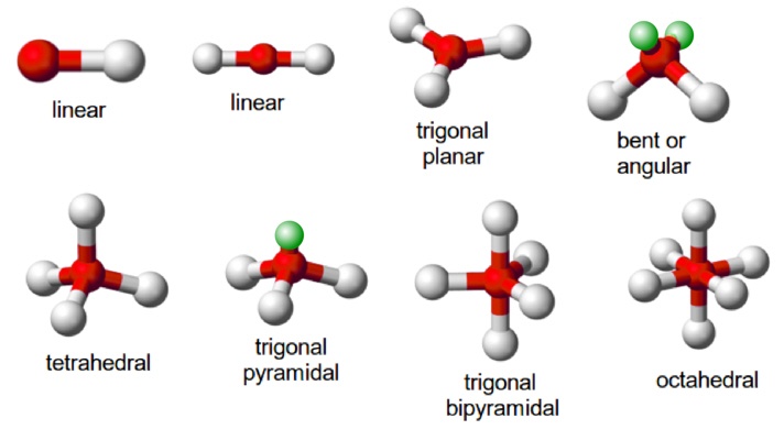 Molecular Structures | 620 plays | Quizizz