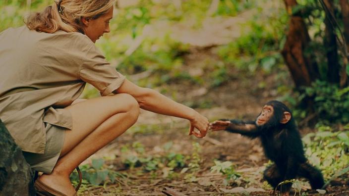 My life with Chimpanzees - Jane Goodall | Quizizz